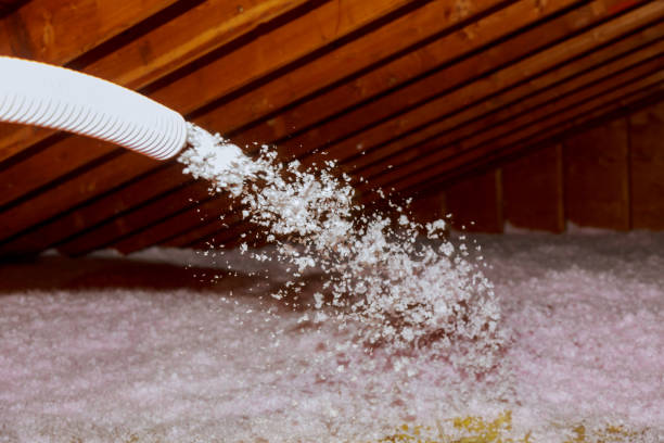 Best Spray Foam Insulation in Cedville, AR