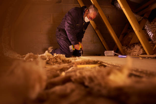 Best Residential Insulation in Cedville, AR